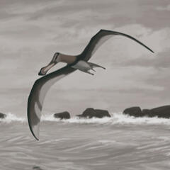By John Conway (Wikimedia Commons)